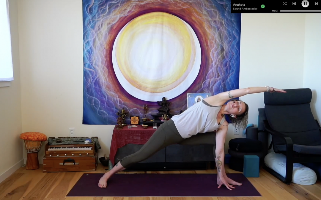 Haṭha Yoga: Daily Practice 1